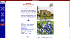 Desktop Screenshot of mcmullencountytexas.us